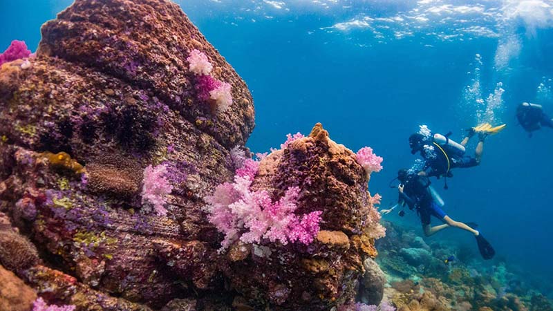 Best Places for Snorkeling and Scuba Diving in Thailand 1