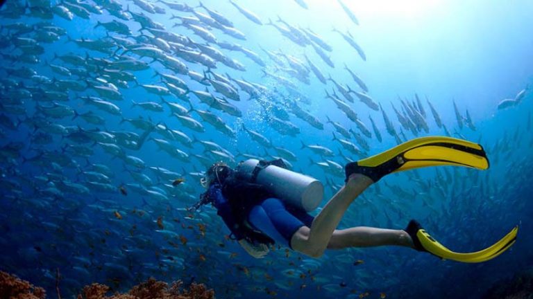 float belt for snorkeling
