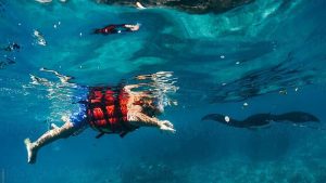 Is-Snorkeling With A Life Jacket Possible