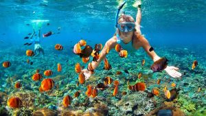 12 Snorkeling vs Scuba Diving Differences 1