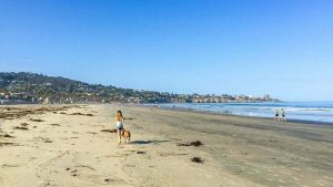 15 Best Beaches In San Diego For Families