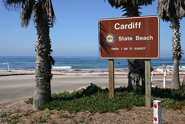 Image of Cardiff Beach