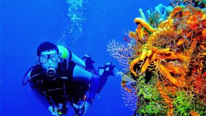 4 Scuba Diving Holiday Destinations For Families