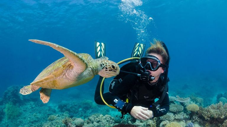 3 Best Places To Scuba Dive