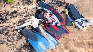 Snorkeling Set Basics