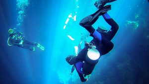 A Quick Guide on Costa Maya Scuba Diving 1