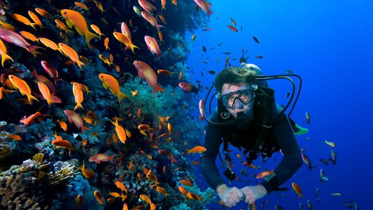 scuba diving classes cancun