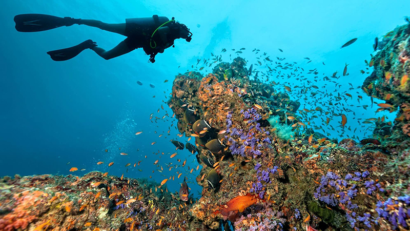 A Quick Guide to Scuba Diving in the Florida Keys
