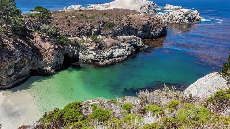 Point Lobos