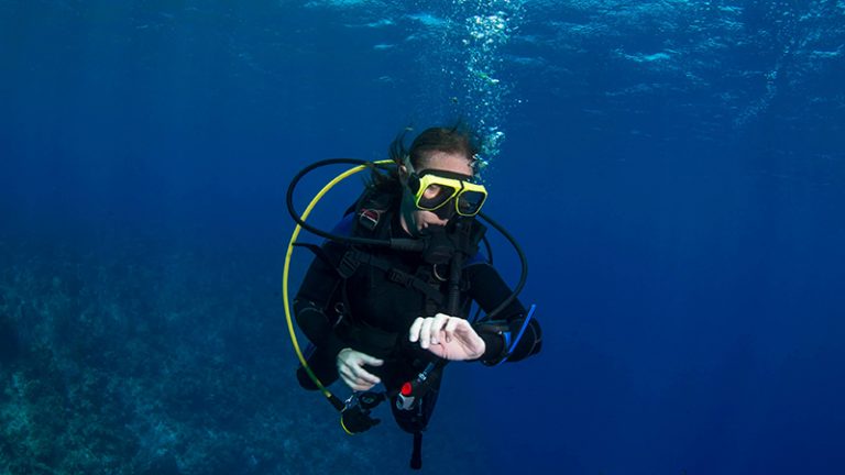 A Quick Guide to Scuba Diving in the Florida Keys