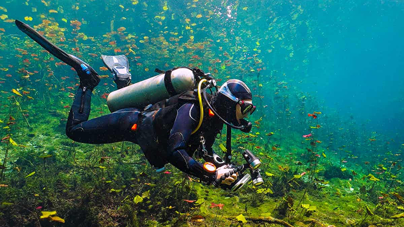 A Quick Guide to Scuba Diving in Crystal River Florida