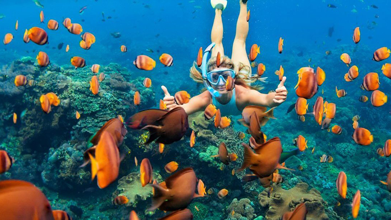 A quick guide to the Scuba Diving West Palm Beach